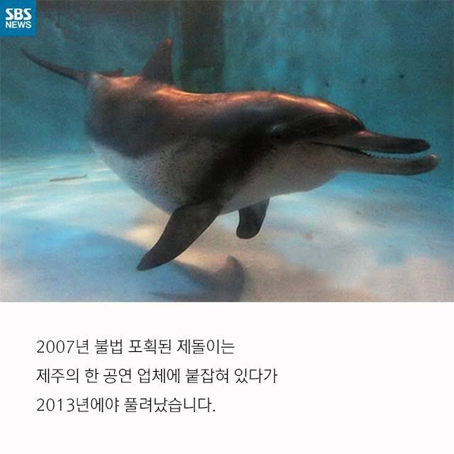 메인이미지  3 : 