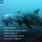 섬네일이미지  4: