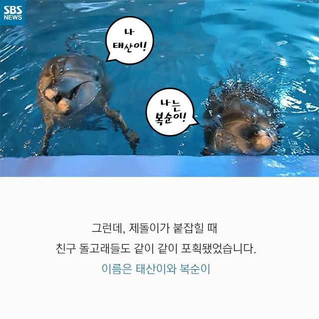 메인이미지  5 : 