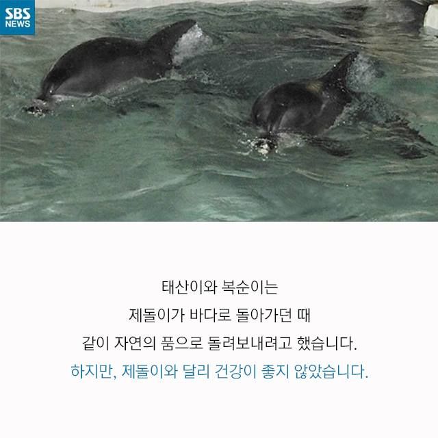 메인이미지  6 : 