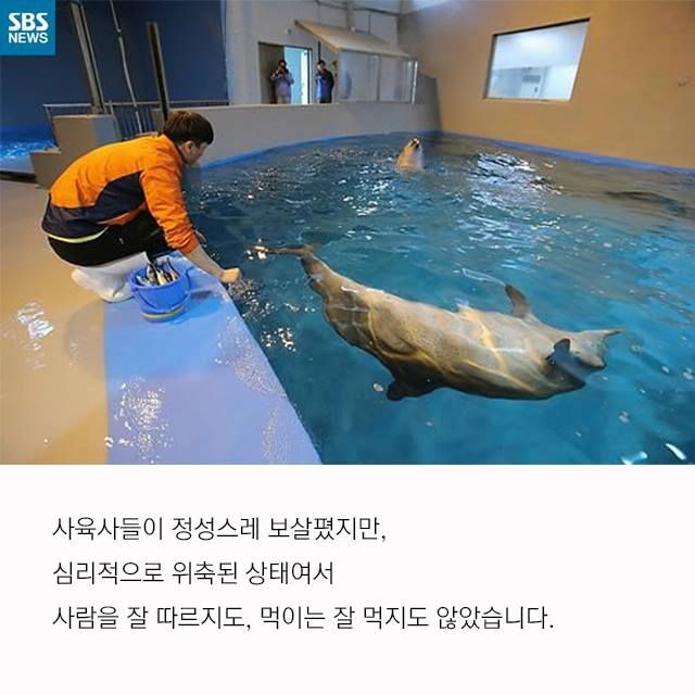 메인이미지  7 : 