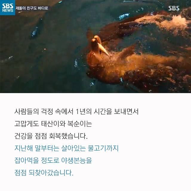 메인이미지  8 : 