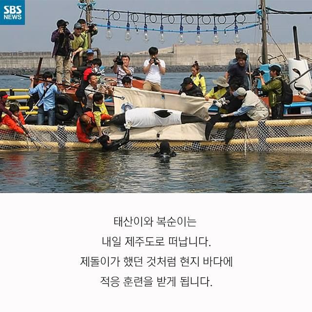 메인이미지  9 : 