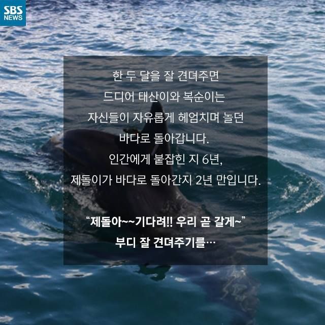 메인이미지  10 : 