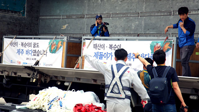 메인이미지  1 : 불법 포획된 후 서울대공원에서 보호되던 남방큰돌고래 '태산이'와 '복순이'가 14일 아시아나 화물기로 제주공항에 도착, 공항 계류장에서 무진동 화물차에 옮겨져 가족 돌고래가 기다리는 제주바다로 출발하고 있다. (연합뉴스)