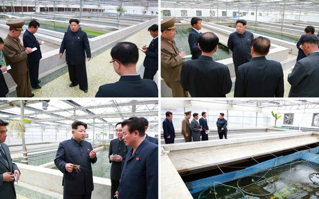 메인이미지  4 :  김정은 북한 국방위원회 제1위원장이 대동강 자라공장을 찾았다고 노동신문이 19일 보도했다. 김정은 제1위원장은 자라공장의 관리 부실 등을 '격노'해 질책했다고 노동신문이 전했다. (서울=연합뉴스)