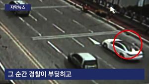 [자막뉴스] 사고 현장 조사하던 경찰관, 다른 차에 '참변'