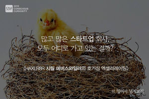 [SDF 2015] 많고 많은 스타트업, 어디로 가고 있는 걸까?