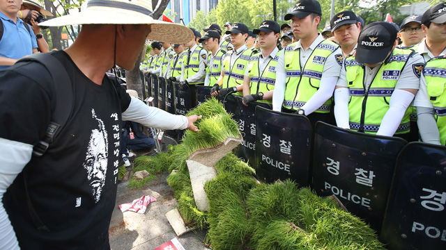메인이미지  6 : 21일 오후 밥쌀용 쌀 수입 규탄집회를 하기 위해 서울 세종로 정부서울청사 앞으로 이동하던 전국농민회총연맹 회원들이 경찰병력 앞에 모를 던지고 있다. (서울=연합뉴스)
