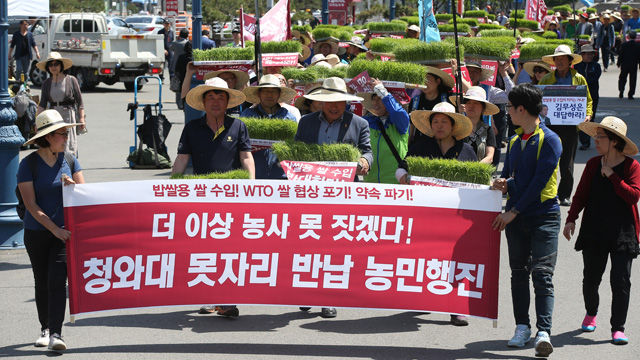 메인이미지  1 :  21일 오후 서울역 광장에서 전국농민회총연맹 주최로 열린 '밥쌀용 쌀 수입 규탄대회'에서 참가자들이 모판을 들고 행진하고 있다. (서울=연합뉴스)