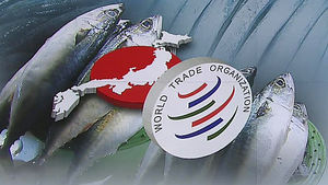 日, 한국의 수산물 수입금지 WTO 제소절차 돌입