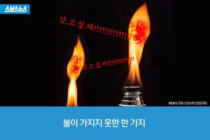 유명 애니메이션에 숨은 '섬세한 비밀'