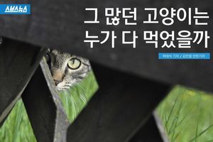 그 많던 고양이는 누가 다 먹었을까