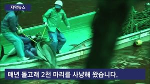 [자막뉴스] "잔혹한 돌고래 학살 그만둬라"&hellip;드디어 백기 든 日