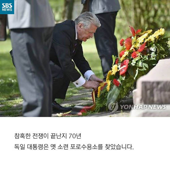 메인이미지  5 : 