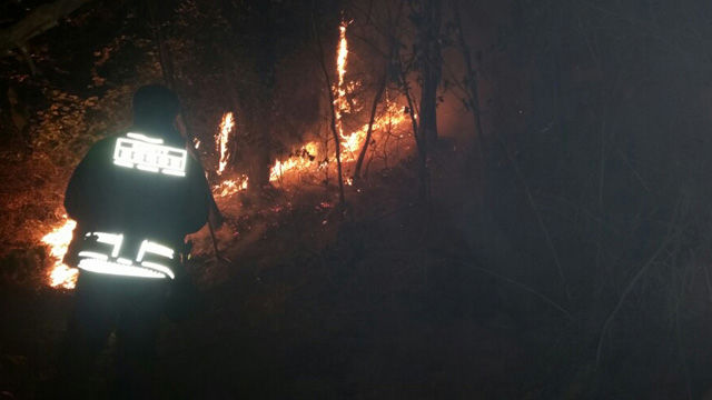 메인이미지  3 : 22일 저녁 대전 동구 식장산 고산사 인근에서 불이 나 소방 관계자가 진화 작업을 하고 있다