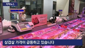 [자막뉴스] '金겹살'&hellip;나들이철 수요에 가격 '껑충'