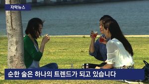 [자막뉴스] 너도나도 '순한 술' 인기&hellip;주류업계 출시 경쟁
