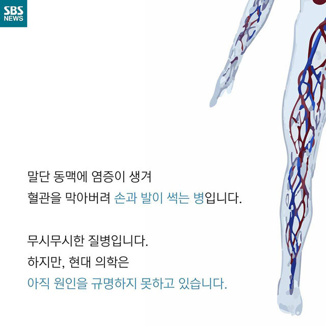 메인이미지  3 : 