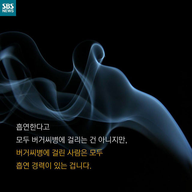 메인이미지  6 : 