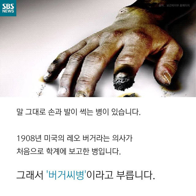 메인이미지  2 : 