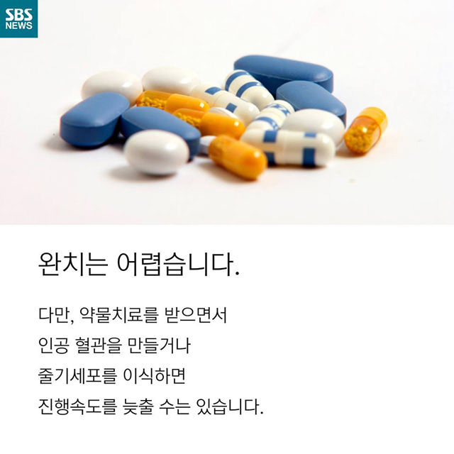 메인이미지  8 : 
