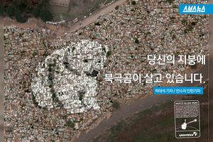 "당신의 지붕에 북극곰이 살고 있습니다"