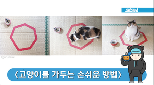 원 하나면 고양이를 가둘 수 있다?