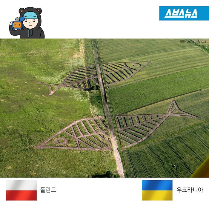 메인이미지  5 : 