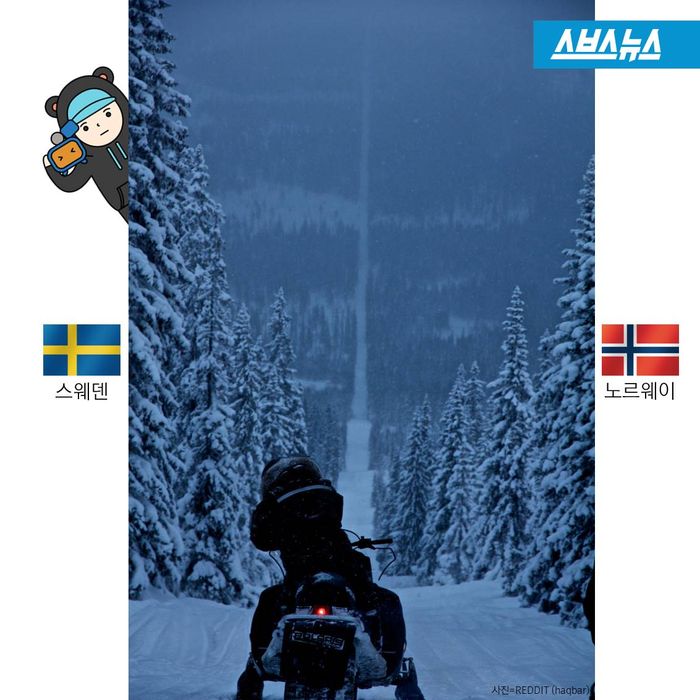 메인이미지  6 : 