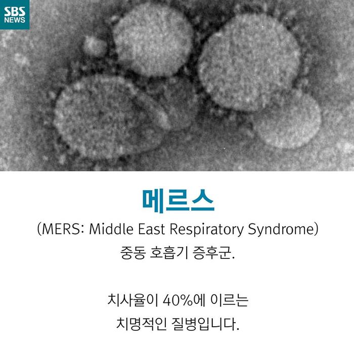 메인이미지  2 : 
