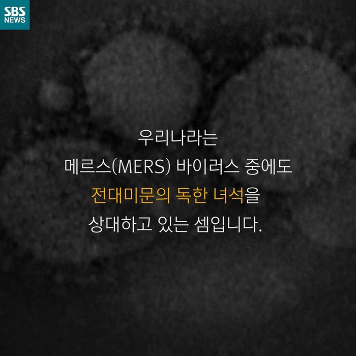 메인이미지  11 : 