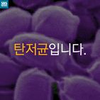 섬네일이미지  3: