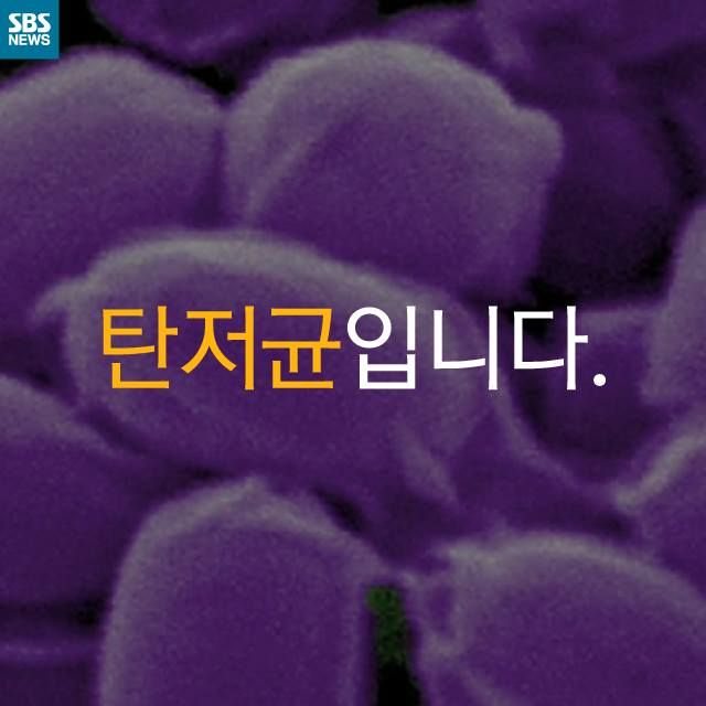 메인이미지  3 : 