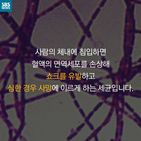 섬네일이미지  4:
