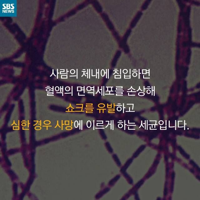 메인이미지  4 : 
