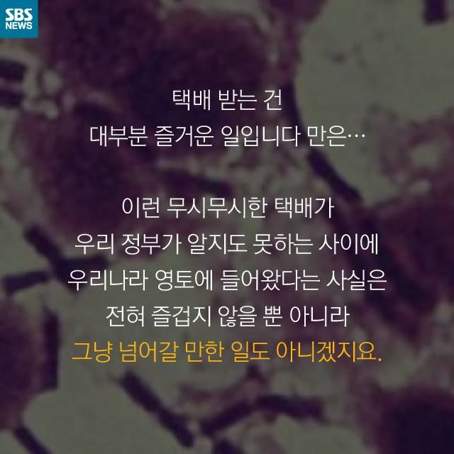 메인이미지  9 : 