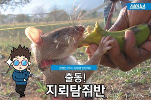 벨기에 무정부기구 아포포(APOPO)의 지뢰특수탐지반, 주인공은 쥐?