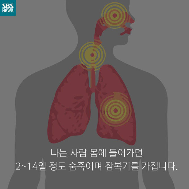 메인이미지  11 : 