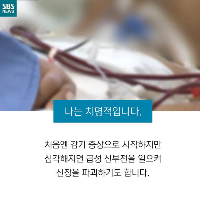 메인이미지  9 : 