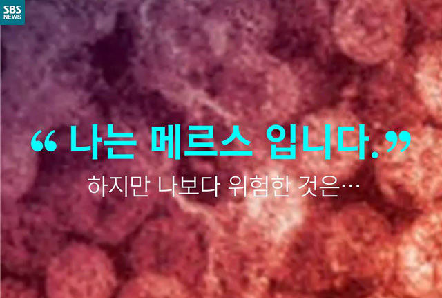 메인이미지  1 : 