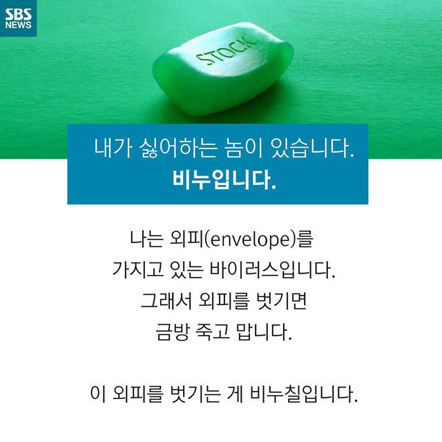 메인이미지  4 : 