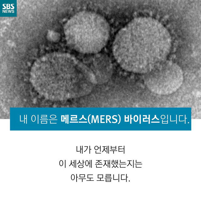 메인이미지  2 : 