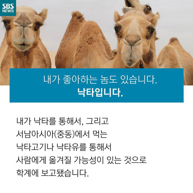 메인이미지  6 : 
