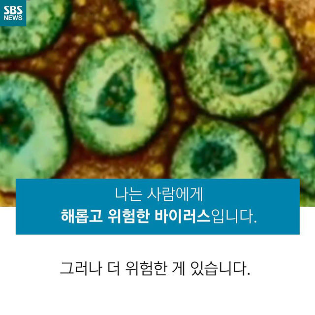 메인이미지  14 : 