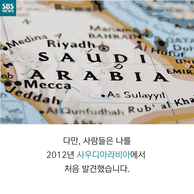 메인이미지  3 : 