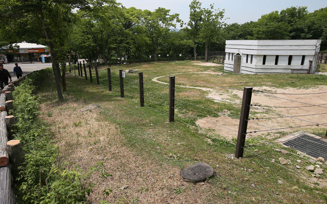 메인이미지  4 : 중동호흡기증후군(메르스) 공포가 퍼지면서 2일 오후 과천 서울대공원 동물원의 낙타가 내실(內室)에 격리돼있다.

   동물원 관계자는 "서울대공원 동물원의 낙타는 여기서 태어나 여기서 자랐기 때문에 메르스 감염과는 무관하다고 보고 있다"면서도 "그러나 사회 이슈가 되는 만큼 관람객들이 안심하고 관람할 수 있도록 검증을 받는 게 좋겠다고 생각해 보건환경연구원에 메르스 감염 검사를 의뢰하기로 했다"고 설명했다.(과천=연합뉴스) 