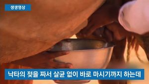 [생생영상] 쓰다듬고, 입 맞추고&hellip;'낙타 경계령' 예방수칙에 시큰둥