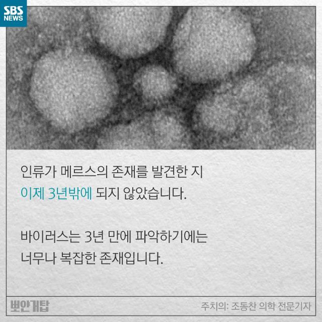 메인이미지  8 : 