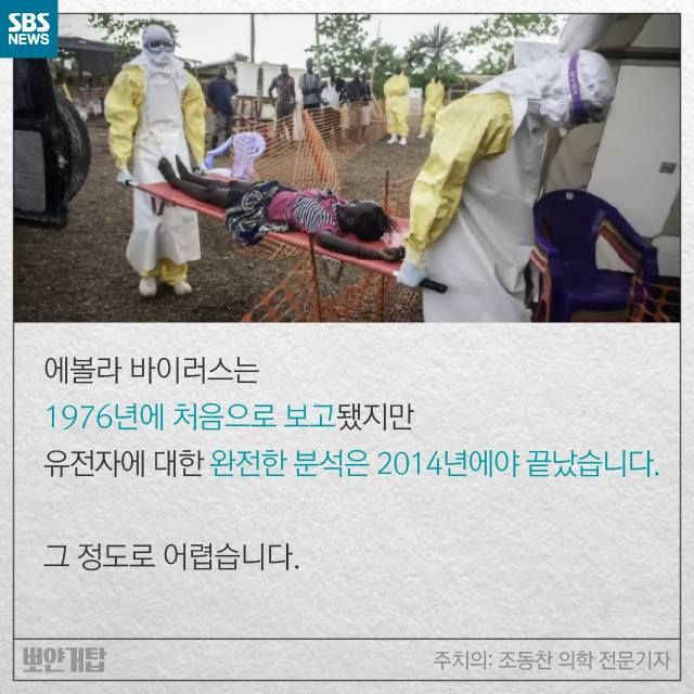 메인이미지  9 : 